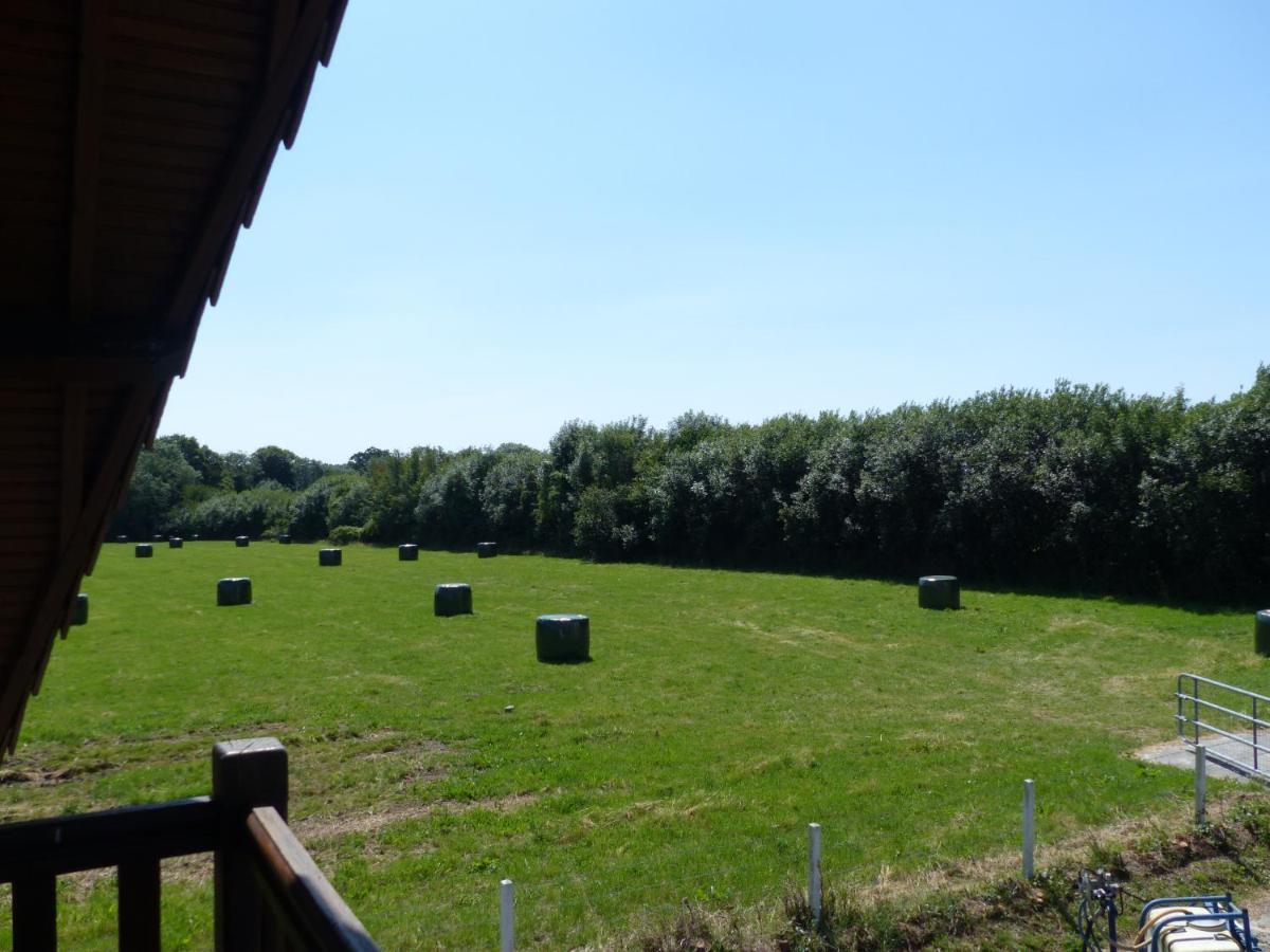 Les Vignettes Hébergement de vacances *